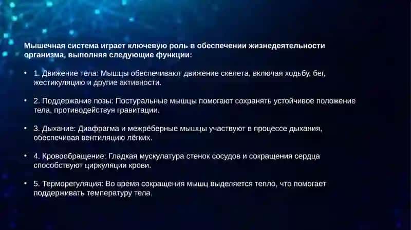 Мышечная функция и биомеханика. Мышечная теория Лесгафта 3