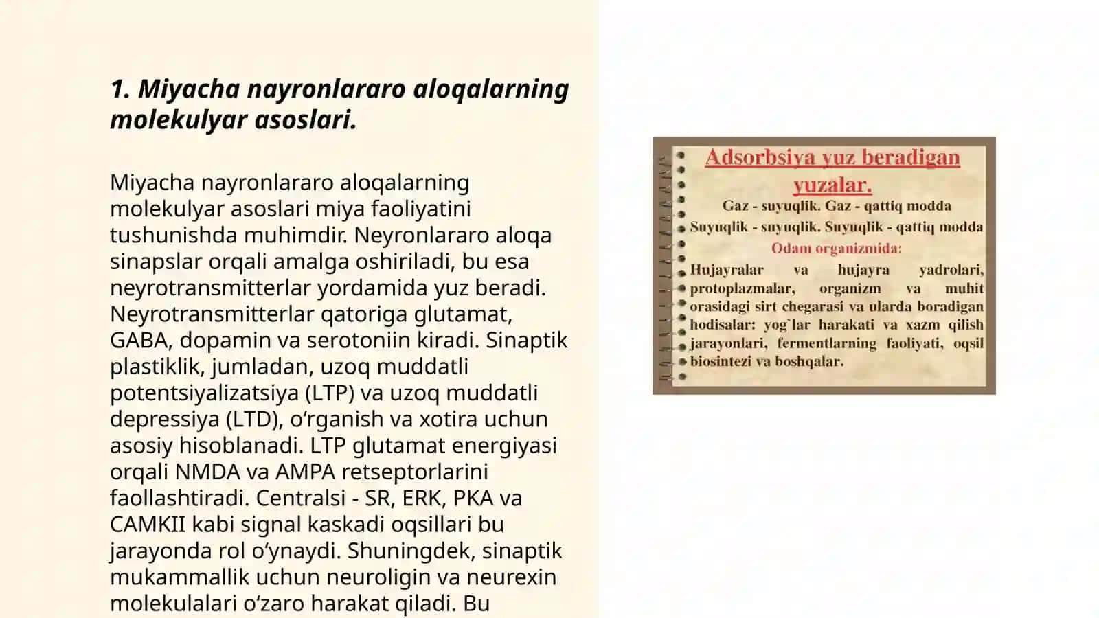 Miyachada nayronlararo aloqalar 3