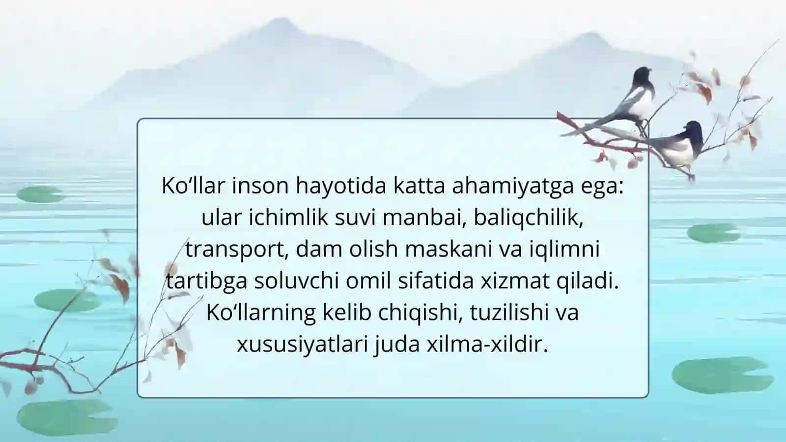 KO‘LLAR VA ULARNING TURLARI 3