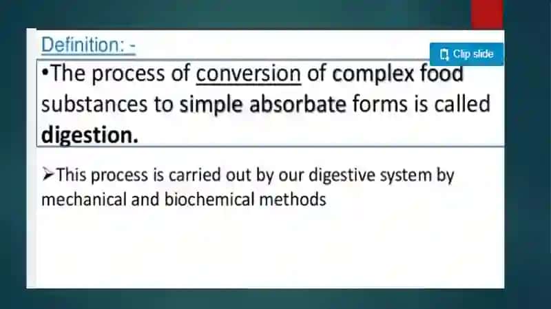 The Digestive System and Process of Digestion and Absorption 3