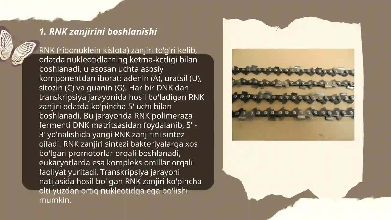 RNK zanjirini oʻsishi (elongatsiya), RNK zanjirini terminatsiyasi 3