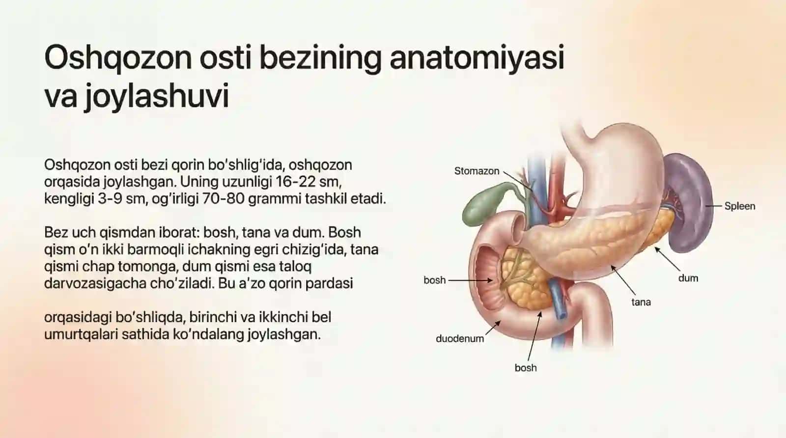 Oshqozon osti bezi Kasalliklari 3