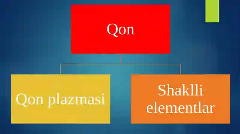 Qonning kimyoviy tarkibi 3