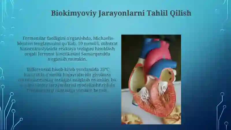 Differensial hisobning biologiyaga tadbiqlari 3
