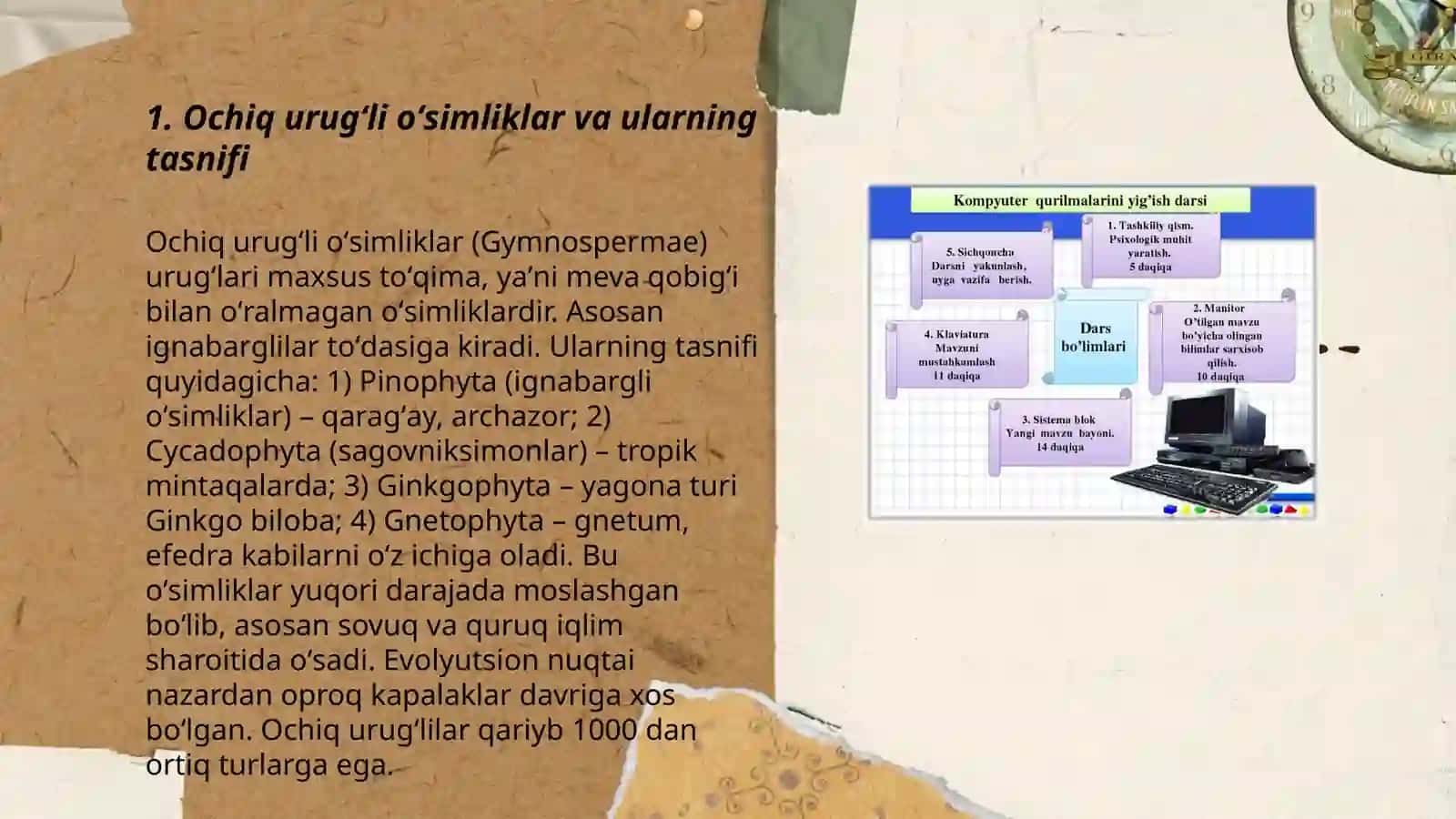 Ochiq va yopiq uruğli oʻsimliklar va ularning qishloq xoʻjaligidagi ahamiyati 3