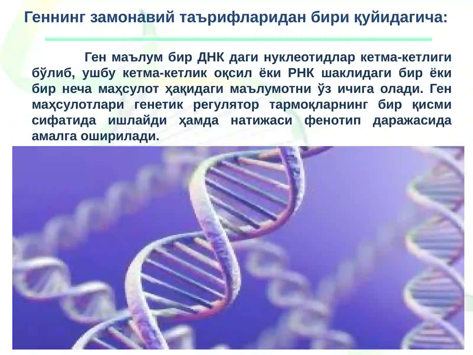 Ген ва ген концепцияси ҳақида тушунча, аллель ва альтернатив белгилар 3