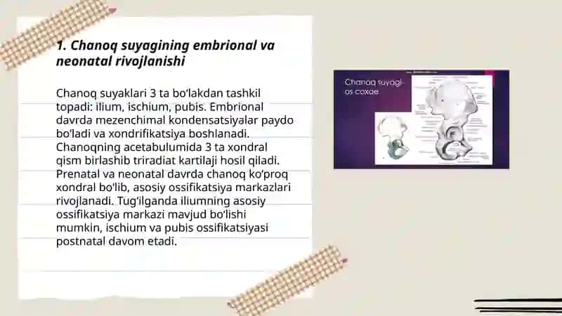 Chanoq va Oyoq Suyaklarining Yoshga Nisbatan Xususiyatlari 3