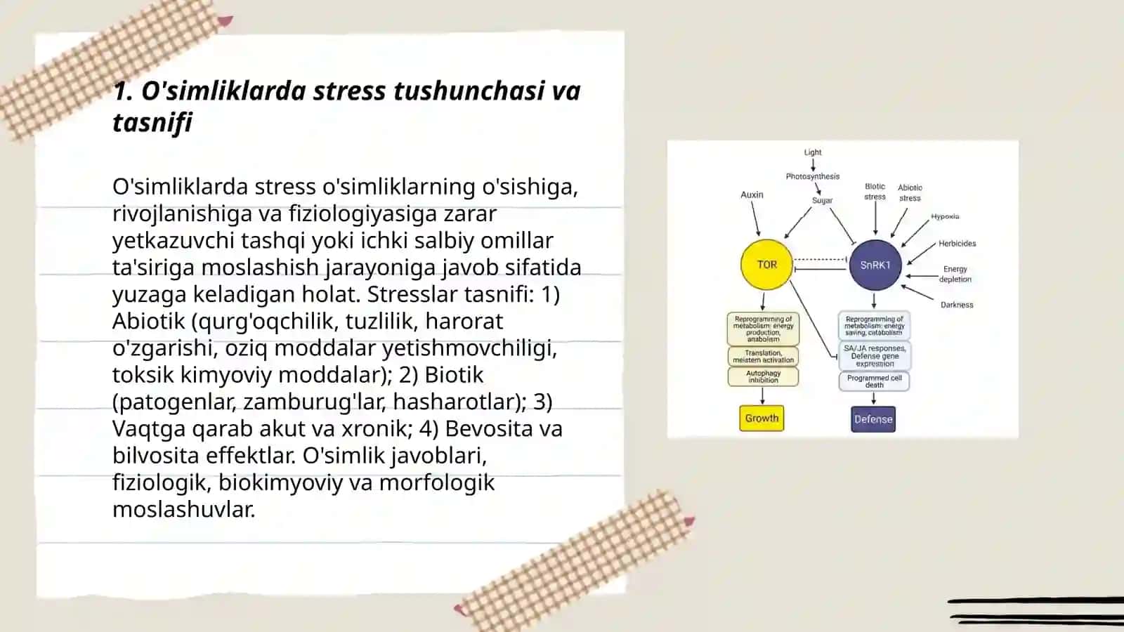 O'simliklarda stress tushunchasi va tasnifi 3