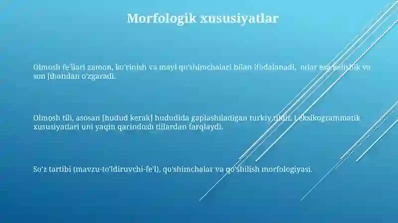 Olmoshning ta'rifi, leksik - grammatik xususiyatlari 3