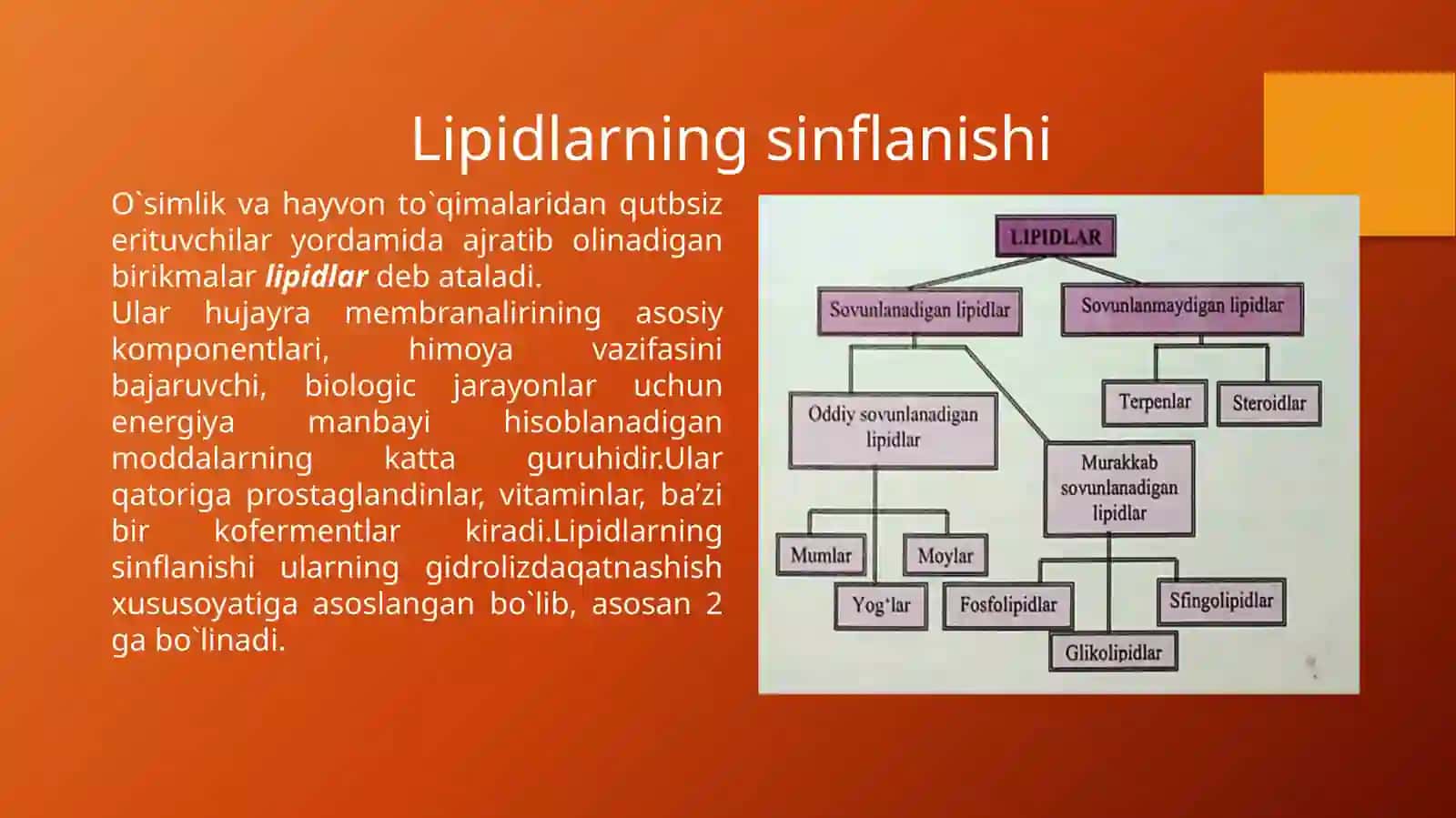 Lipidlar. Sovunlanadigan oddiy va murakkab lipidlar. Sovunlanmaydigan lipidlar 3