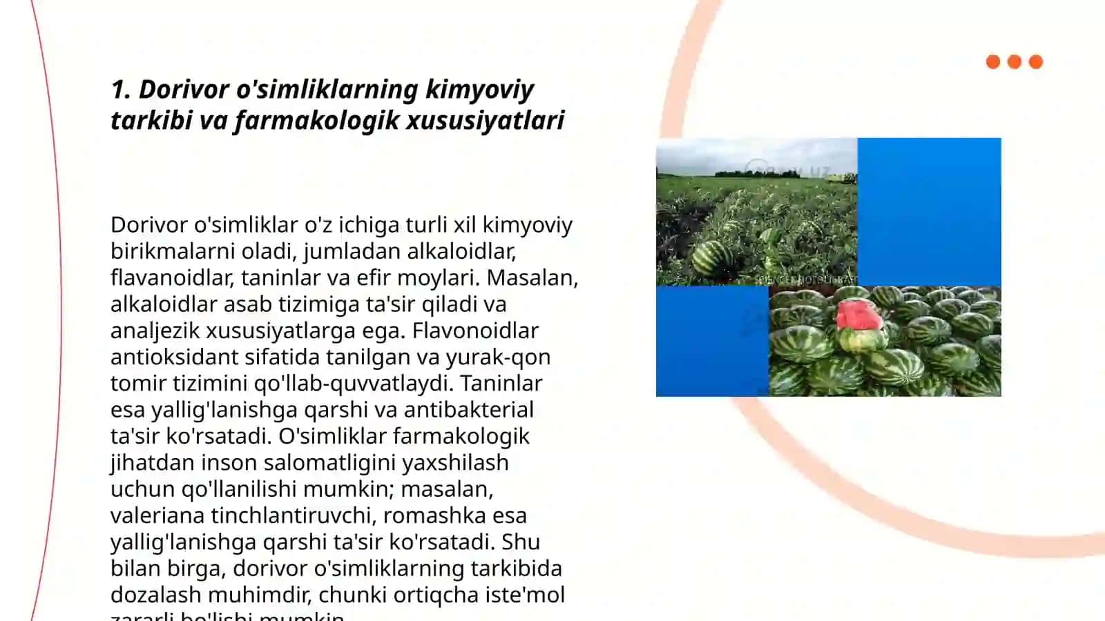 Dorivor o'simliklarning kimyoviy tarkibi va farmakologik xususiyatlari 3