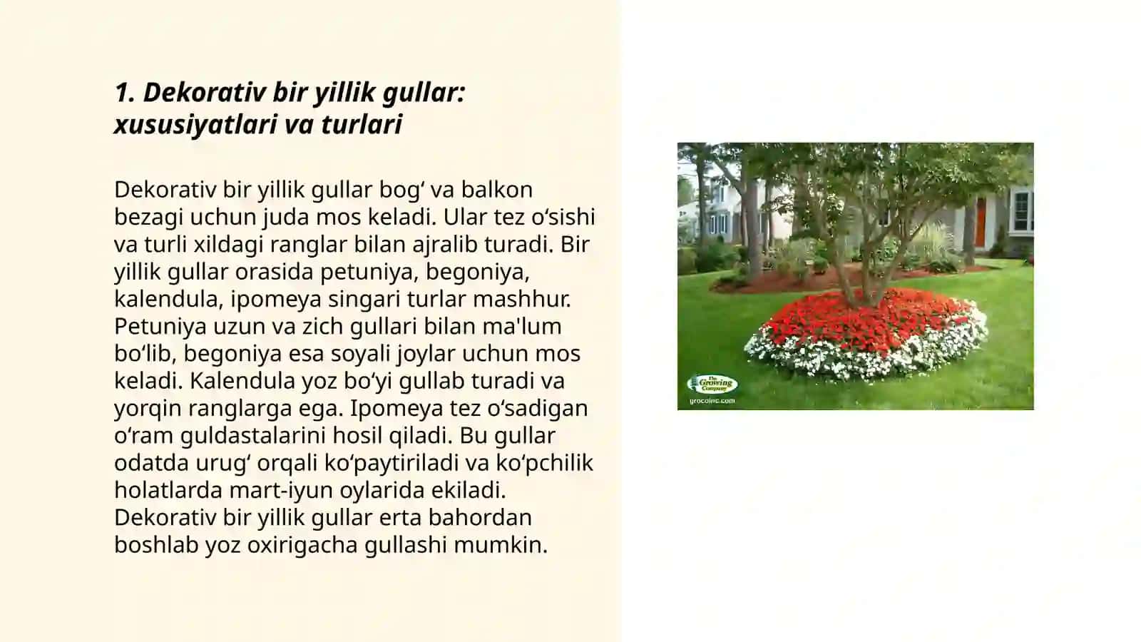 Dekorativ bir yillik gullar 3