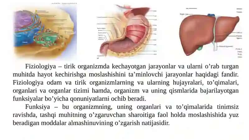 Yosh fiziologiyasi va gigiyena 3