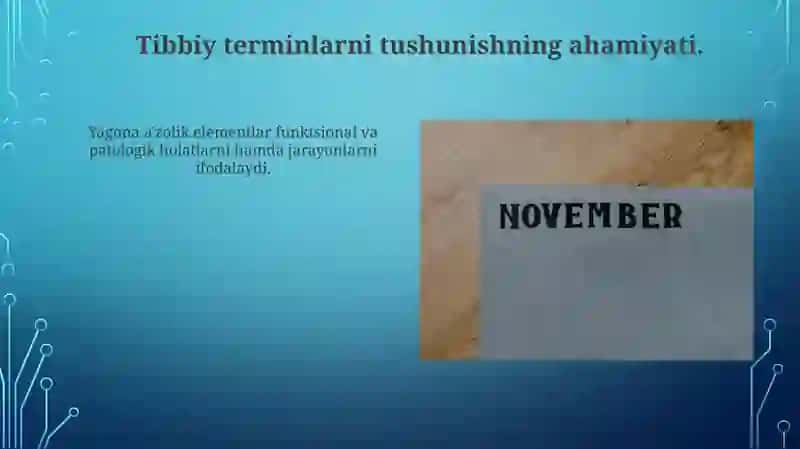 Yunon-lotin dubletlari va yakka atama elementlar 3