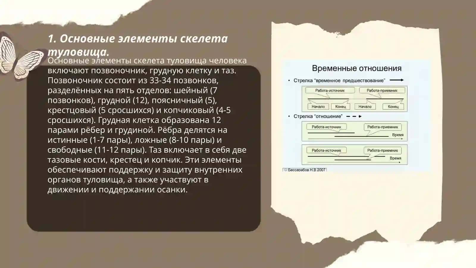 Скелет туловища выражение временных отношений в простом и сложном предложении 3