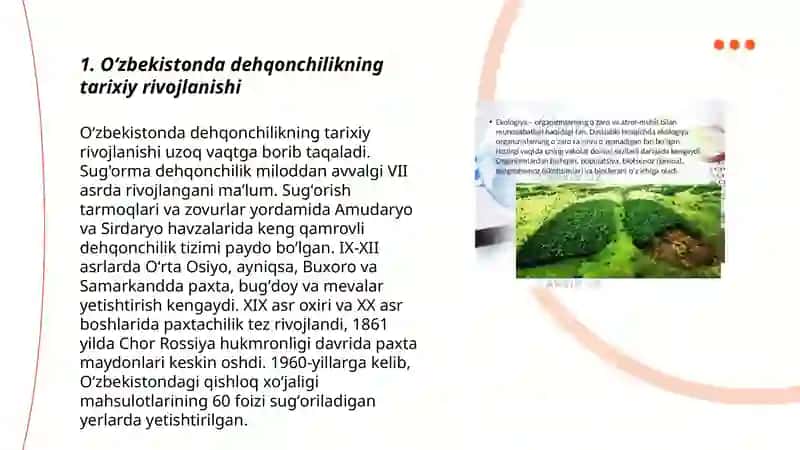 Oʻzbekistonda dehqonchilikning mintaqaviy rivojlanish xususiyatlari geografiyasi 3