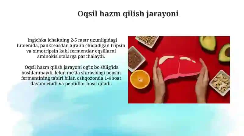 Oqsillarning hazimlanishi va sõrilishi, inson uchun ahamiyati 3