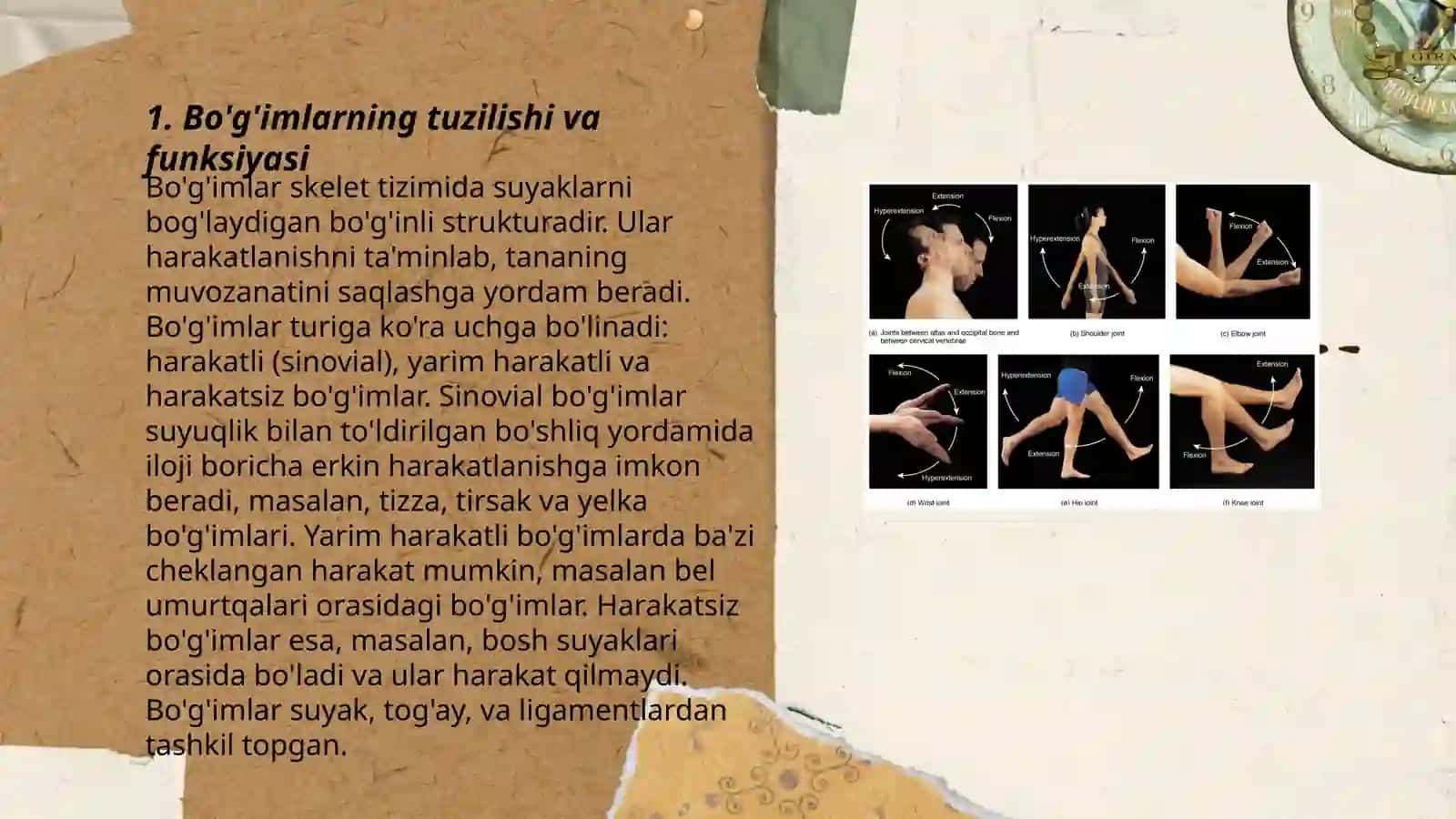 Bo'g'imlarning biomexanikasi. Birlashmalarning rentgenanatomiyasi 3