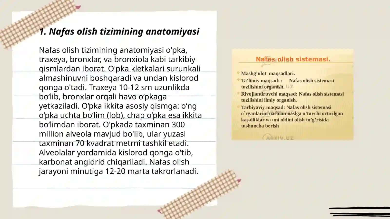 Nafas olish sistemasi fizalogiyasi 3