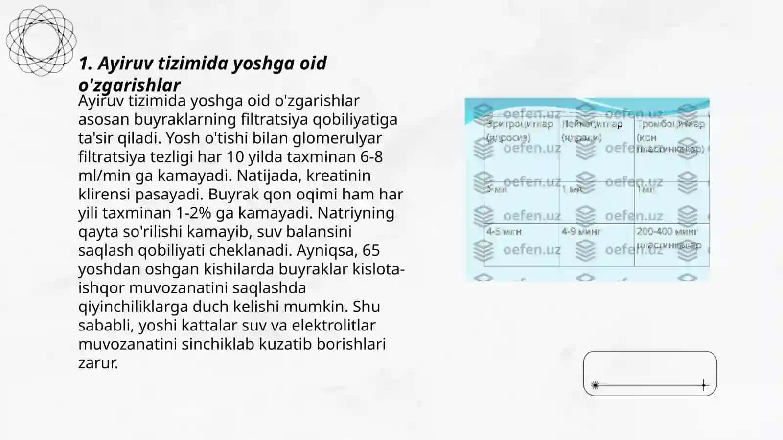 Ayiruv tizimining yoshga oid fiziologiyasi va gigeyenasini oʻrganish 3