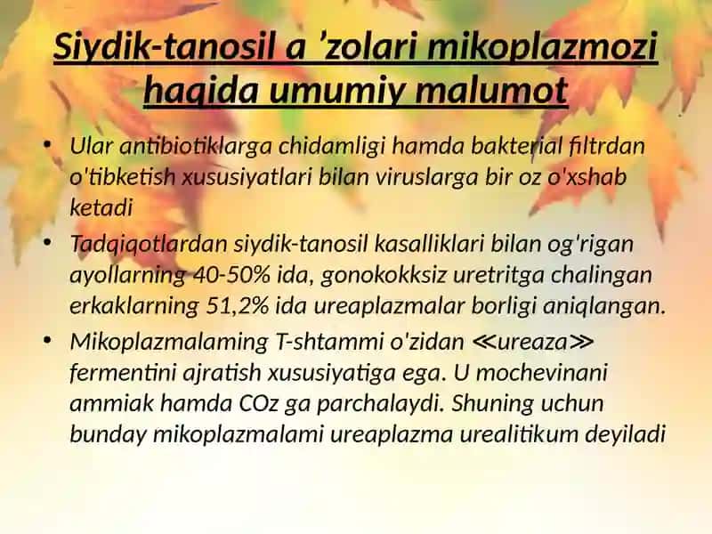 Siydik tanosil a’zolarining nospetsifik infeksion qo’zg’atuvchilari. 3
