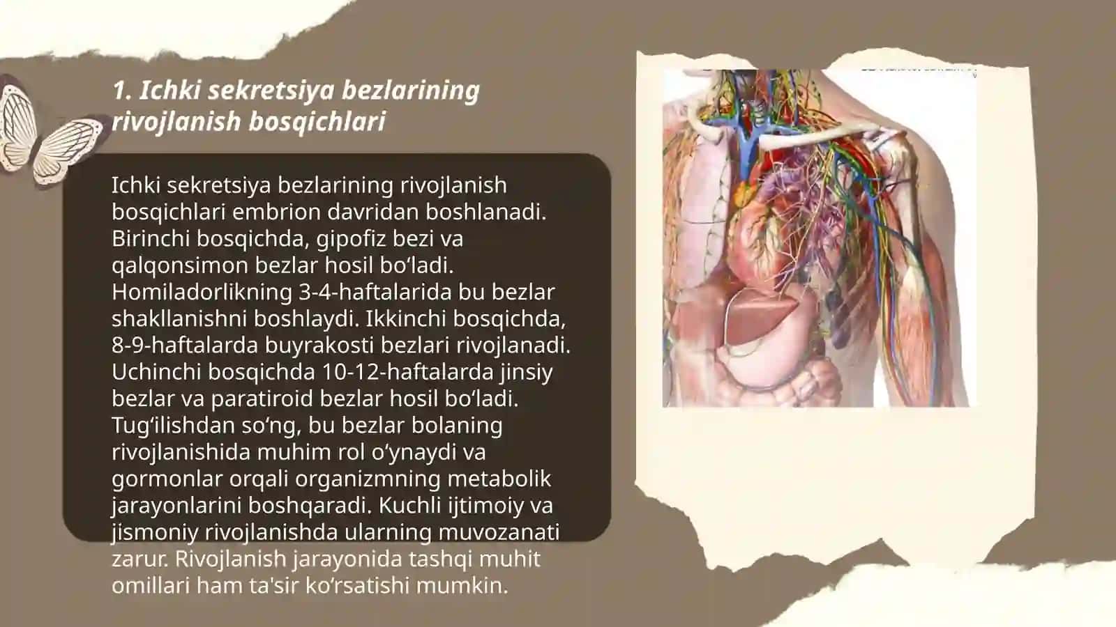 Ichki sekretsiya bezlarining yosh xususiyatlari 3