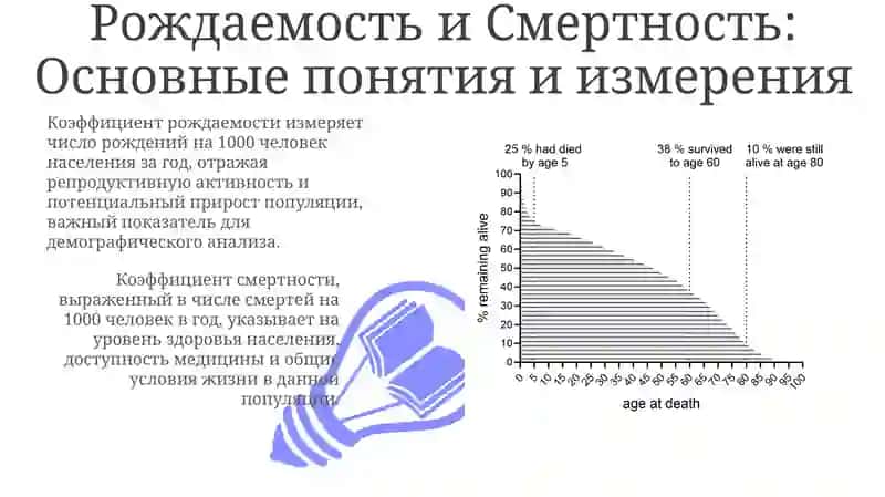 Демографик статистика: рождаемость, смертность, миграция 3
