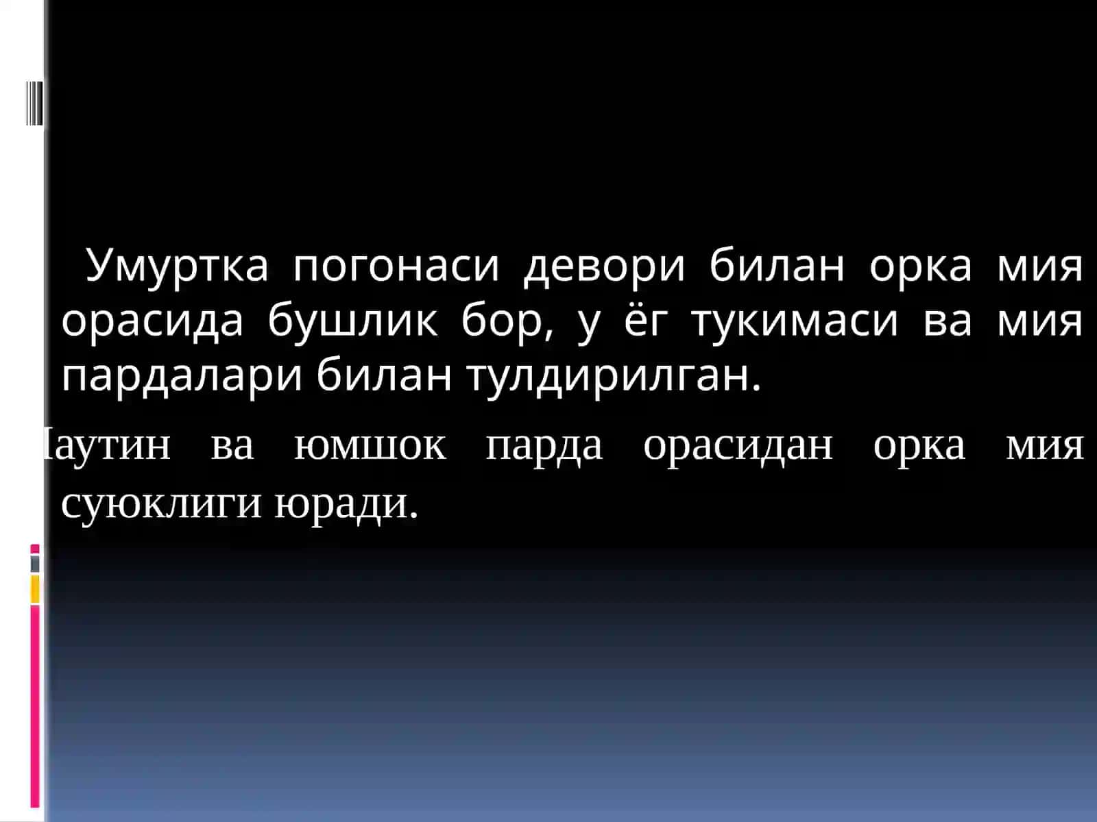 Периферик нерв системаси 3