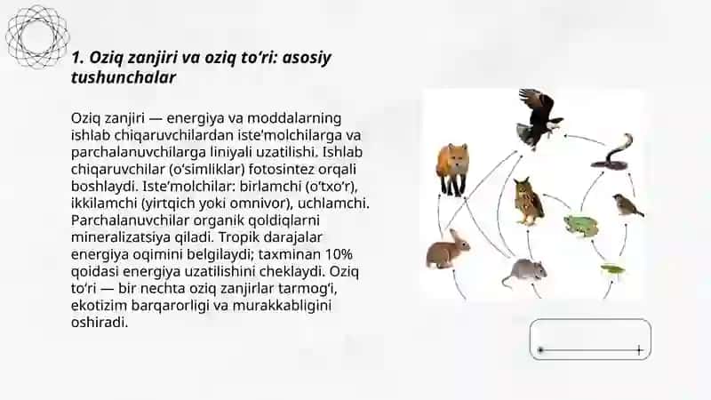 Oziq zanjiri va oziq toʻri 3