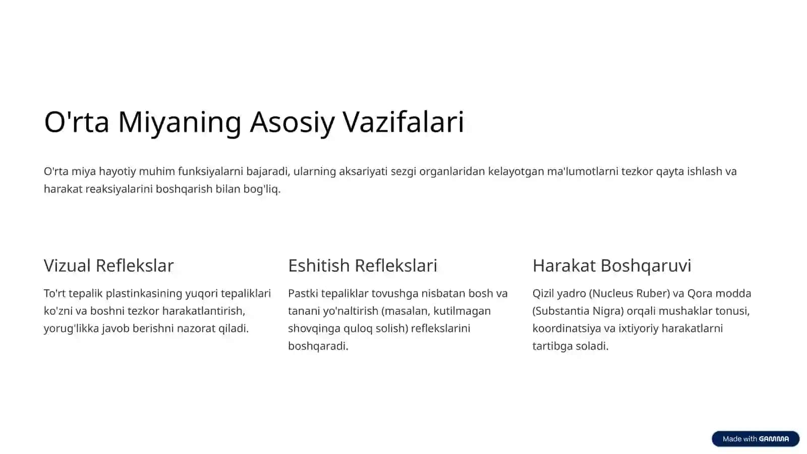 O'rta Miyaning Ichki Tuzilishi va To'rt Tepalik Plastinkasi 3