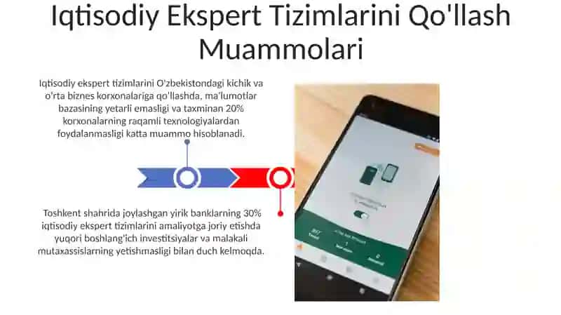 Iqtisodiy Ekspert Tizimlarini Qo'llash Muammolari 3