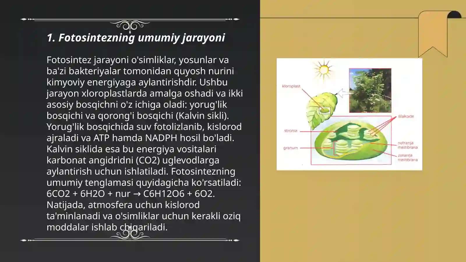 Fotosintezda karboksillanish jarayoni 3
