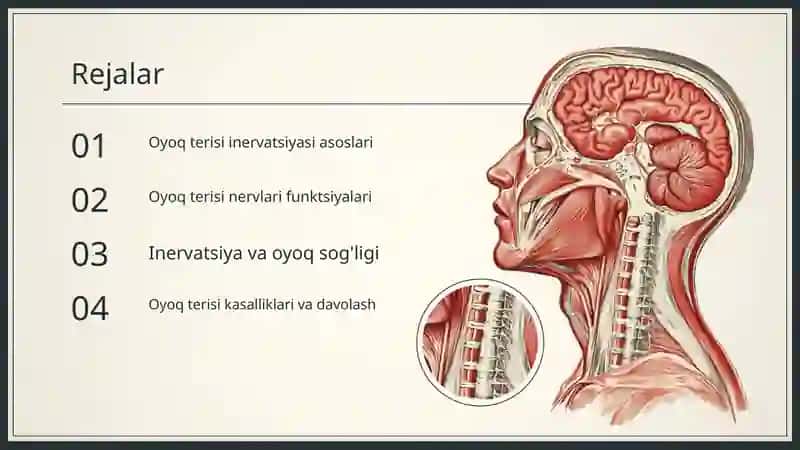 anatomiya 3
