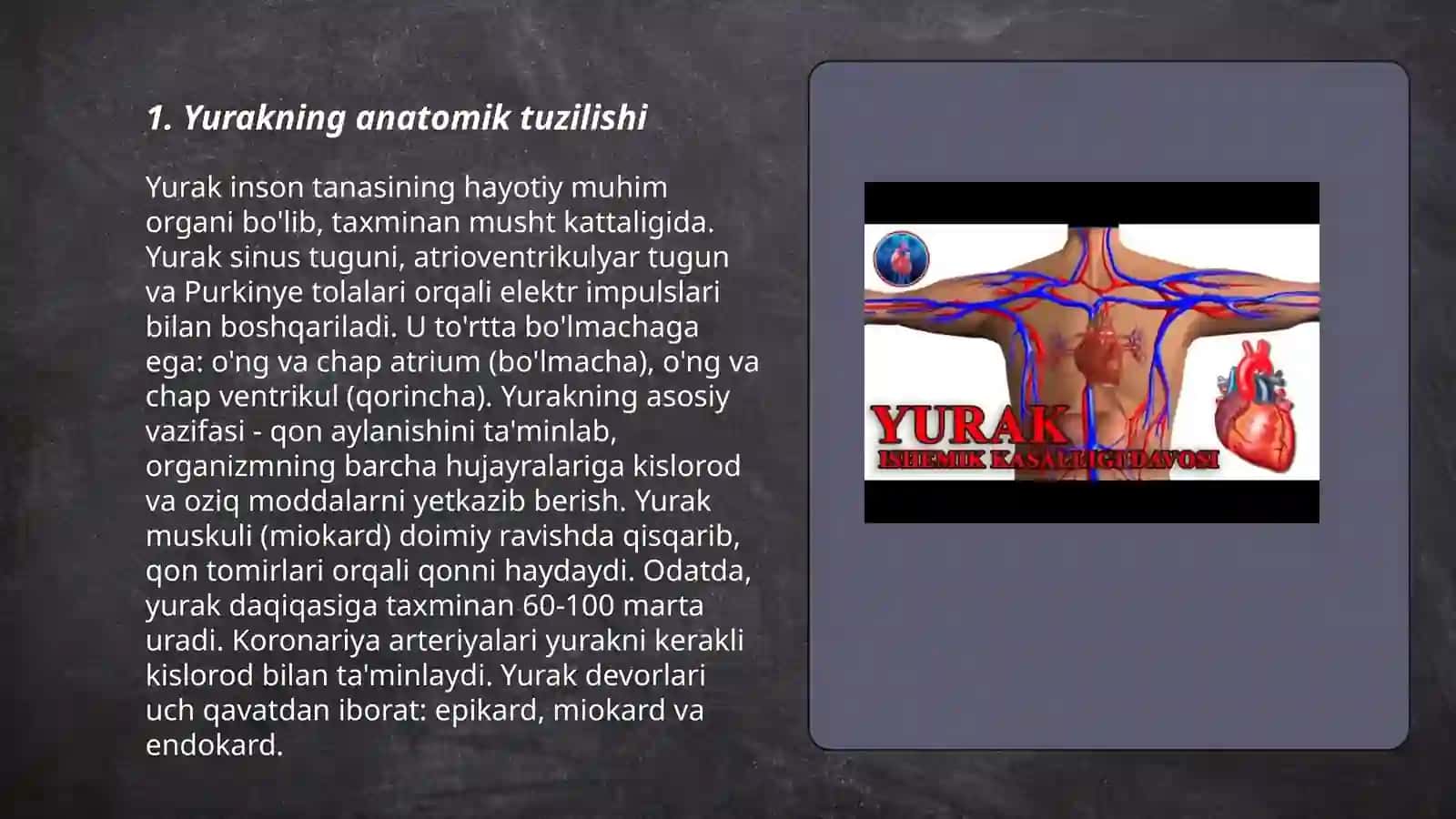 Yurak qon- tomir tizimining tuzilishi 3