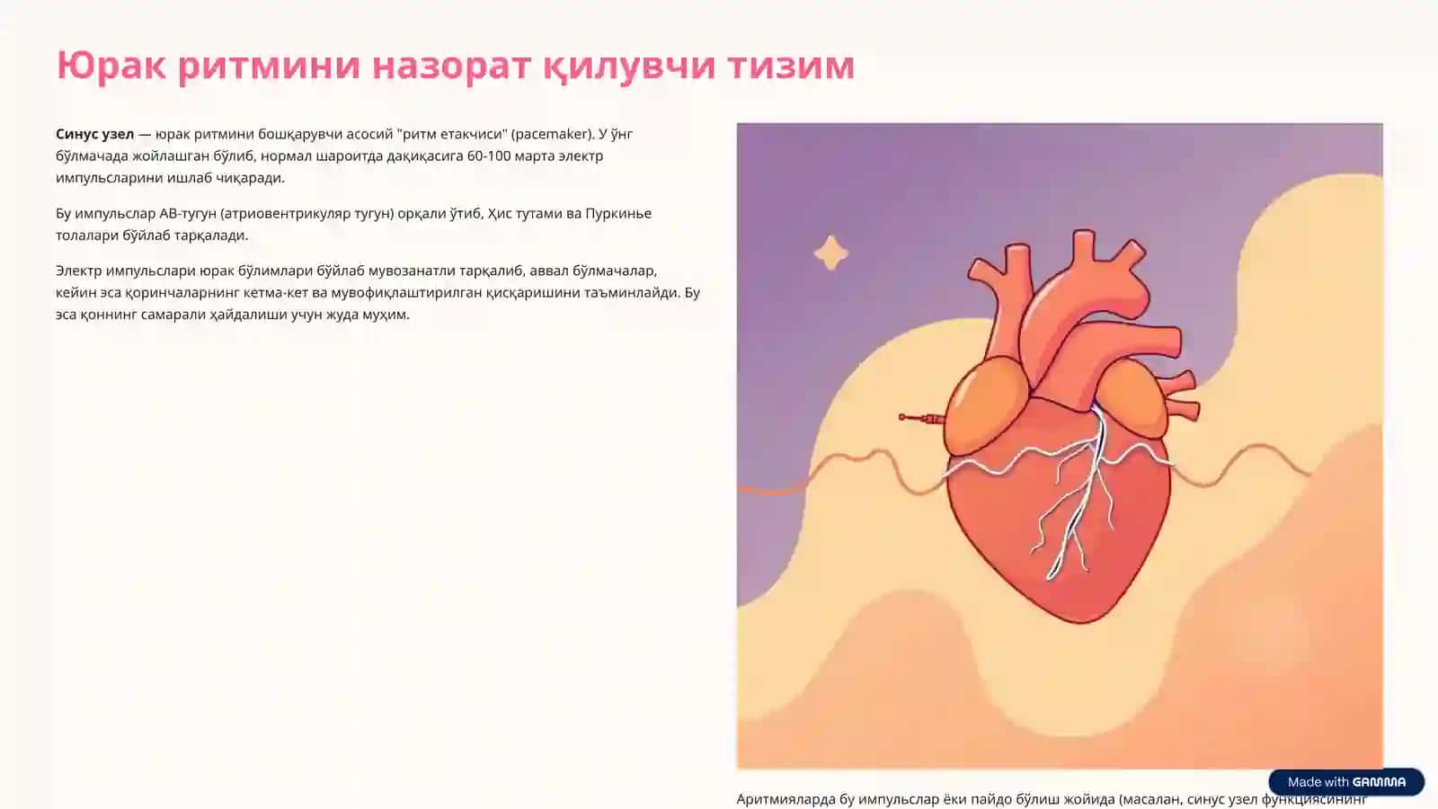 Аритмиялар патофизиологияси 3