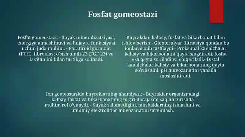 Buyraklarni Kalsiy,Fosfor Va Bikarbonat Almashinuvidagi Ahamiyati 3