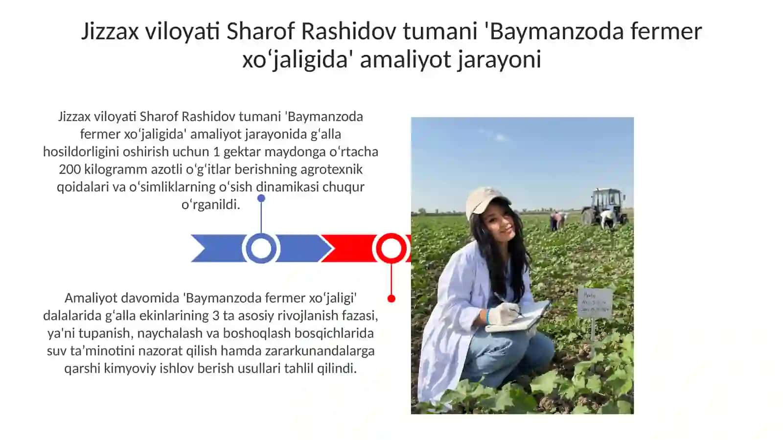 Gʻalla ekinining biologik hususiyatlari va xalq xo'jaligida ahamiyati 3