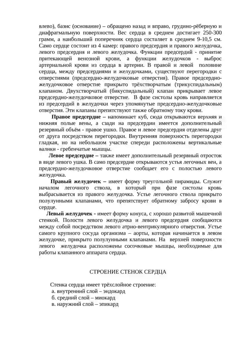 Сердечно-сосудистая система 3