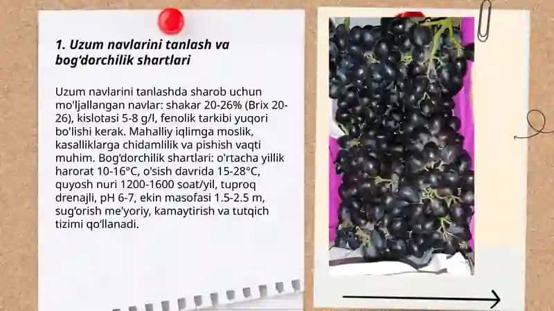 Sharob tayyorlash texnologiyasi 3