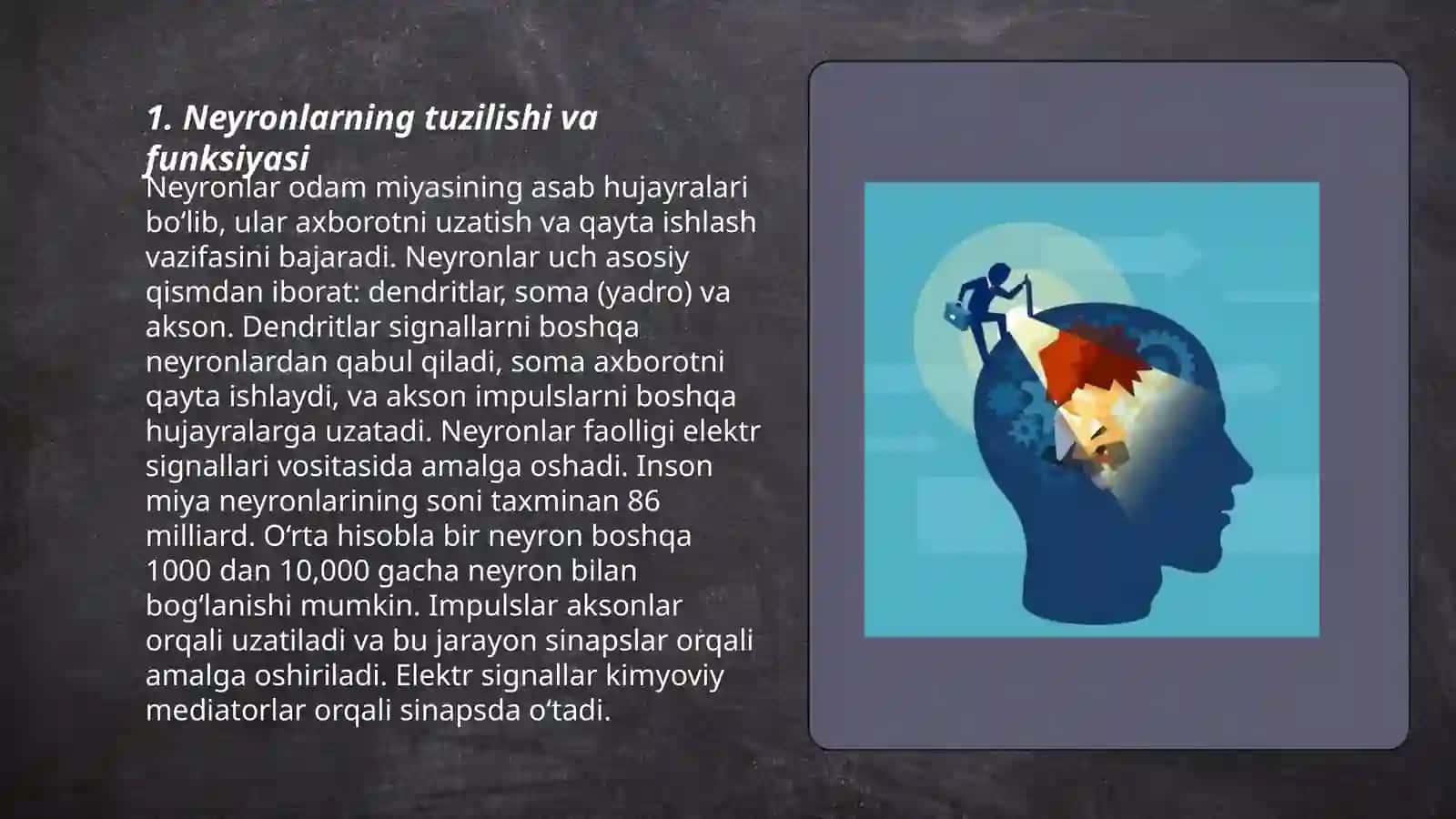 Xulq-atvorning nerv-fizialogik asoslari 3