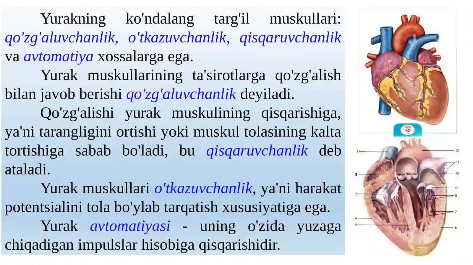 Yurak fiziologiyasi 3