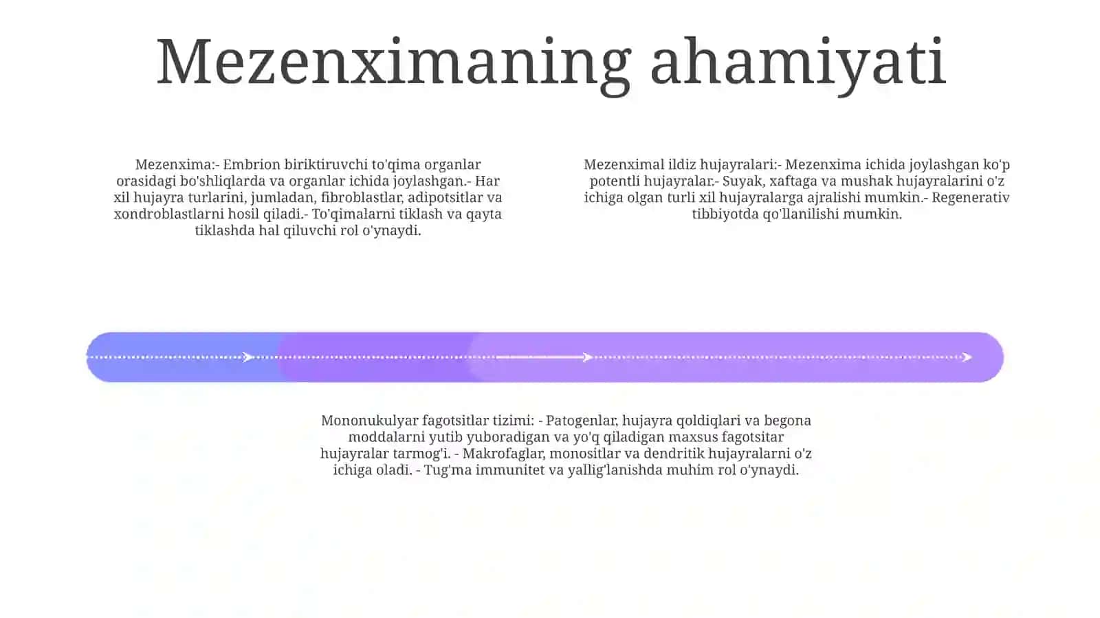 Mezenximaning Tuzilishi Va Ahamiyati 3