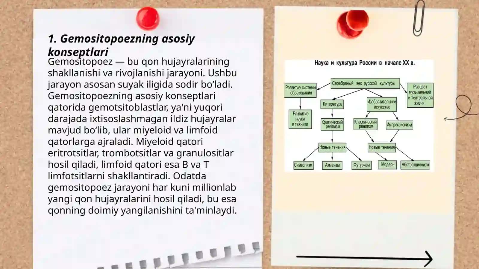 Gemositopoez jarayonlarining boshqariluvi 3