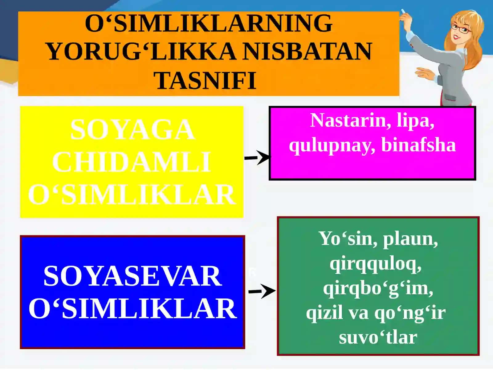 O‘SIMLIKLARNING YORUG‘LIKKA NISBATAN TASNIFI 3