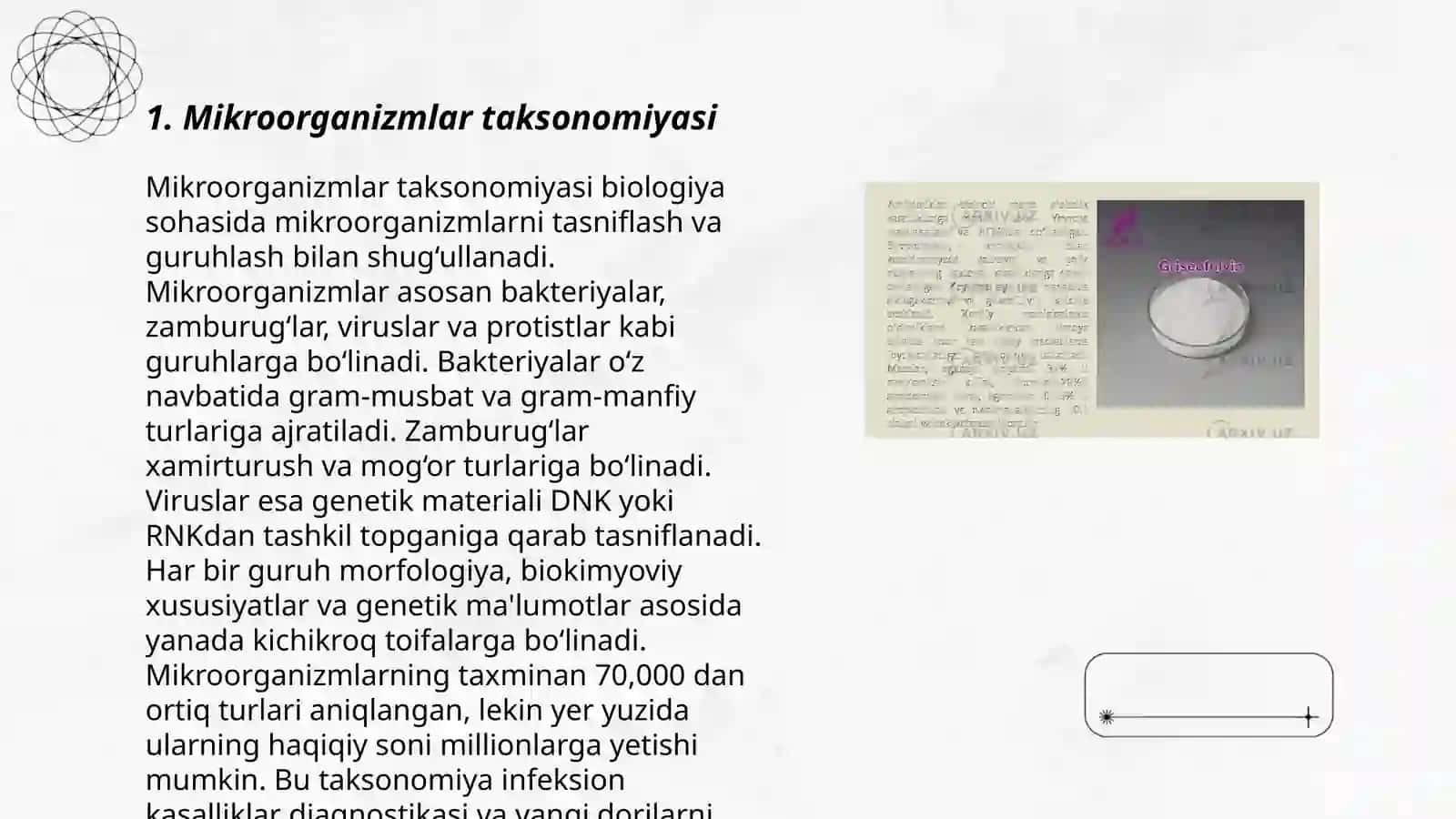 Mikroorganizmlar taksonomiyasi 3