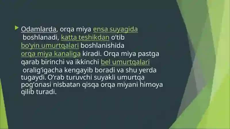 Bolalarda orqa miya o'zgarishlari 3