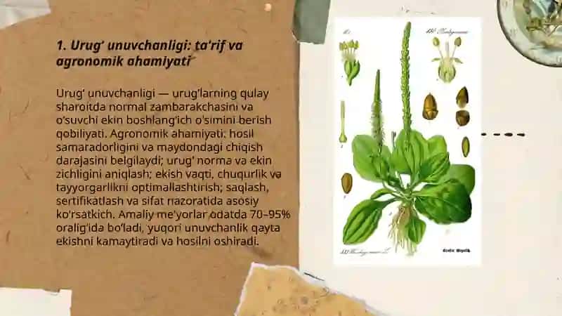 Urugʻlarning unuvchanligini, yashovchanligini va oʻsish kuchini aniqlash 3