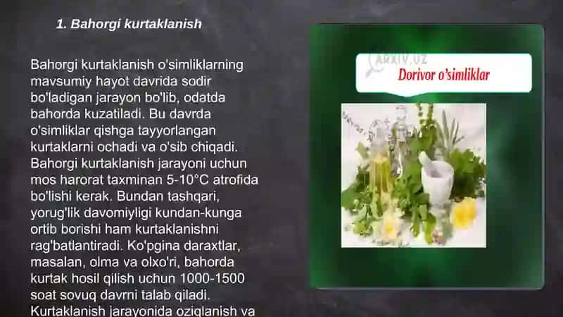 Osimliklarda davrlar va mavsumiy hodisalar 3