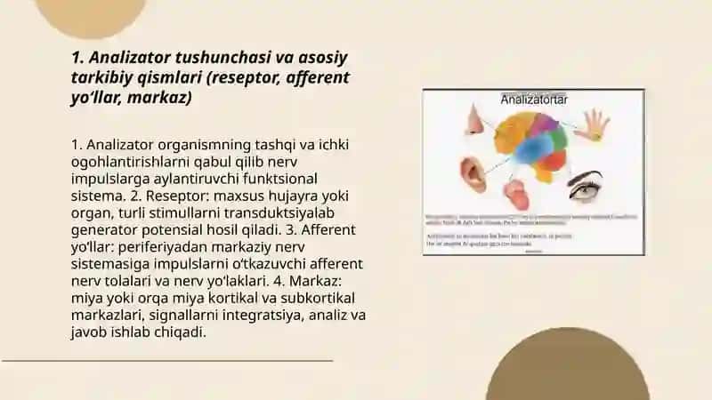 Analizatorlar haqida umumiy tushuncha 3