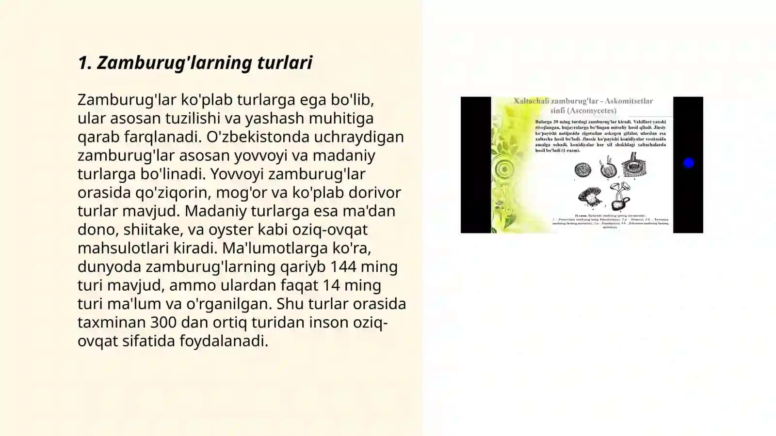 Zamburug'larga qarshi vositalar 3